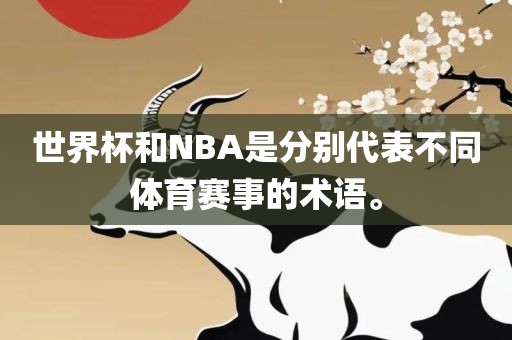 世界杯和NBA是分别代表不同体育赛事的术语。