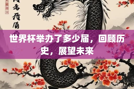 世界杯举办了多少届，回顾历史，展望未来漯河市盈旭机械设备有限公司