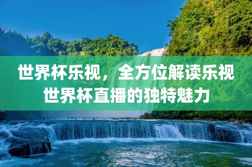 世界杯乐视，全方位解读乐视世界杯直播的独特魅力