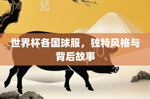 世界杯各国球服，独特风格与背后故事漯河市盈旭机械设备有限公司