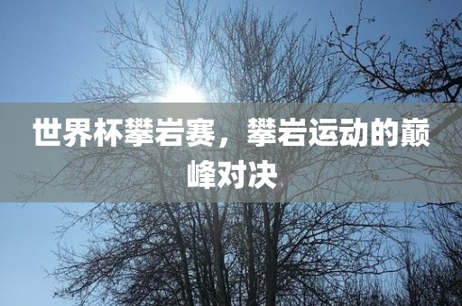 世界杯攀岩赛，攀岩运动的巅峰对决