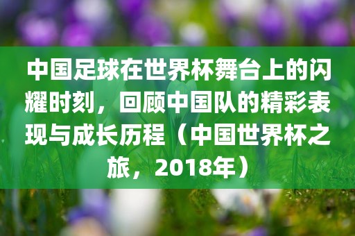 中国足球在世界杯舞台上的闪耀时刻，回顾中国队的精彩表现与成长历程（中国世界杯之旅，2018年）漯河市盈旭机械设备有限公司