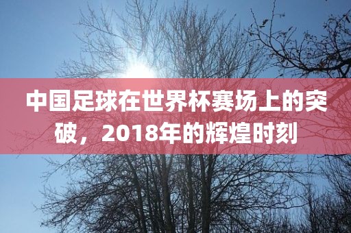 中国足球在世界杯赛场上的突破，2018漯河市盈旭机械设备有限公司年的辉煌时刻