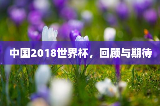 中国2018世界杯，回顾与期待漯河市盈旭机械设备有限公司
