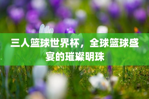 三人篮球世界杯，全球篮球盛宴的璀璨明珠