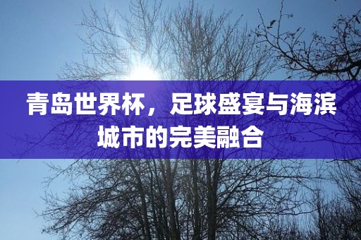 青岛世界杯，足球盛宴与海滨城市的完美融合