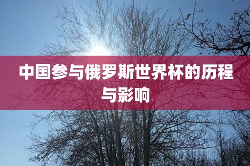 中国参与俄罗斯世界杯的历程与影响漯河市盈旭机械设备有限公司