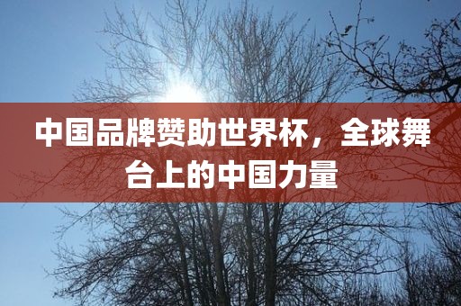 中国品牌赞助世界杯，全球舞台上的中国力量