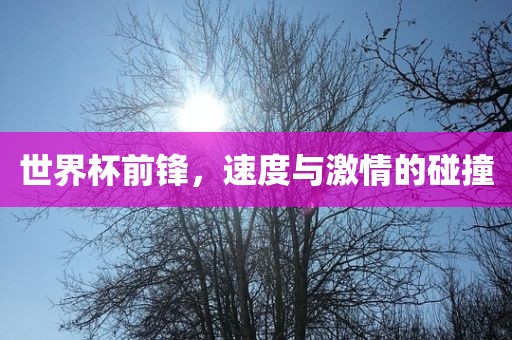 世界杯前锋，速度与激情的碰撞漯河市盈旭机械设备有限公司