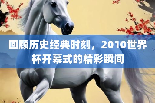 回顾历史经典时刻，2010世界杯开幕漯河市盈旭机械设备有限公司式的精彩瞬间