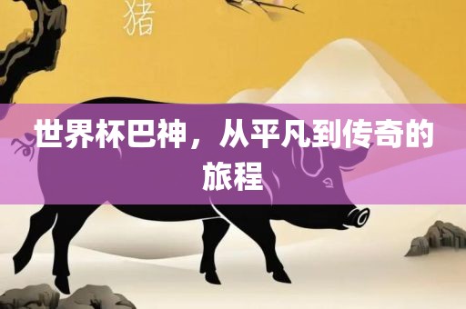 世界杯巴神，从平凡到传奇的旅程漯河市盈旭机械设备有限公司