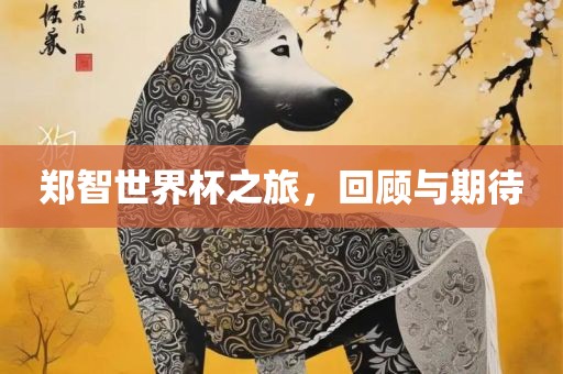 郑智世界杯之旅，回顾与期待漯河市盈旭机械设备有限公司