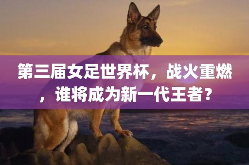 第三届女足世界杯，战火重燃，谁将成为新一代王者？漯河市盈旭机械设备有限公司