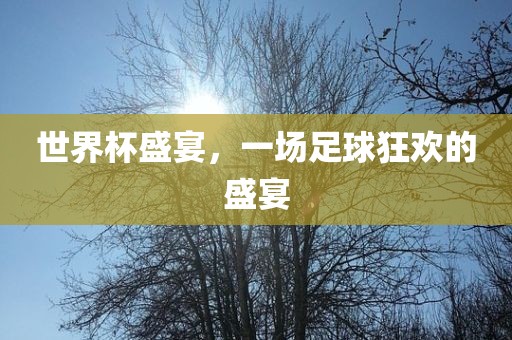 世界杯盛宴，一场足球狂欢的盛宴漯河市盈旭机械设备有限公司