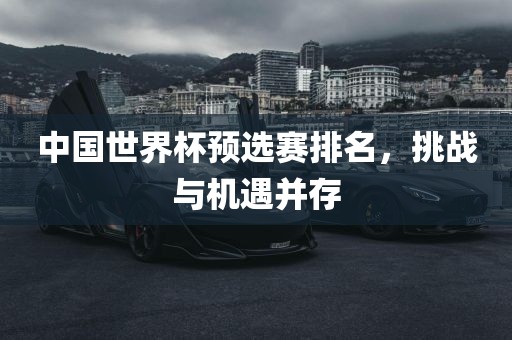 中国世界杯预选赛排名，挑战与机遇并存漯河市盈旭机械设备有限公司