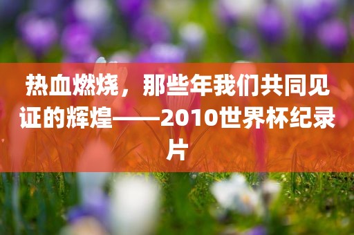 热血燃烧，那些年我们共同见证的辉煌——2010世界杯纪录片