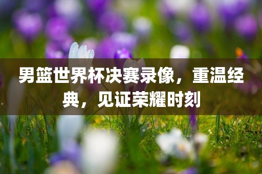 男篮世界杯决赛录像，重温经典，见证荣耀时刻漯河市盈旭机械设备有限公司