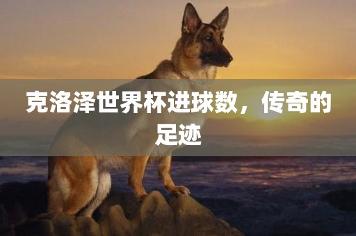 克洛泽世界杯进球数，传奇的足迹漯河市盈旭机械设备有限公司