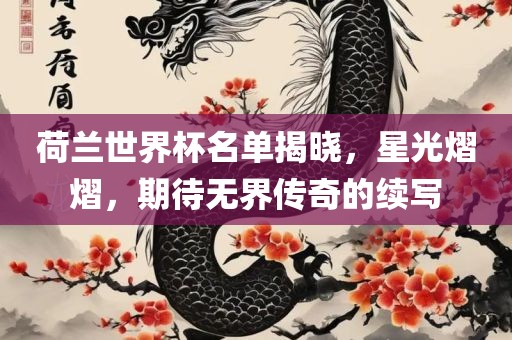 荷兰世界杯名单揭晓，星光熠熠，期待无界传奇的续写漯河市盈旭机械设备有限公司