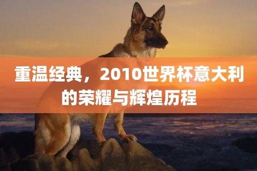 重温经典，2010世界杯意大利的荣耀与辉煌历程漯河市盈旭机械设备有限公司