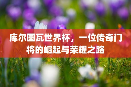 库尔图瓦世界杯，一位传奇门将的崛起与荣耀之路漯河市盈旭机械设备有限公司