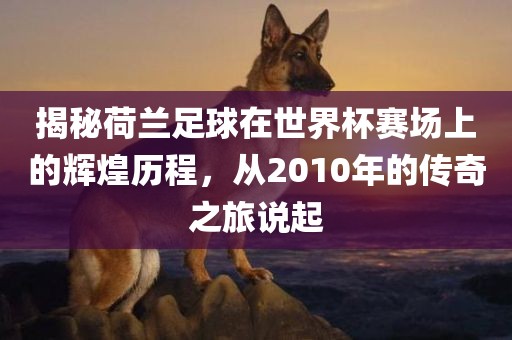 揭秘荷兰足球在世界杯赛场上的辉煌历程，从2010年的传奇之旅说起