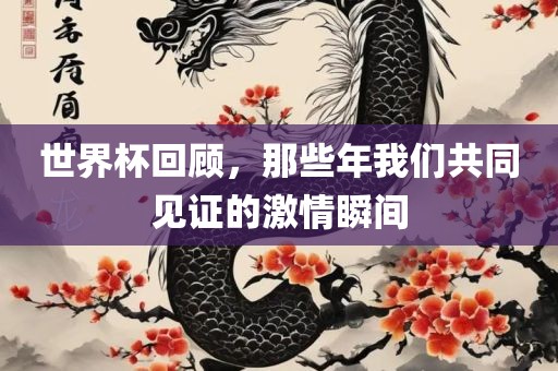 世界杯回顾，那些年我们共同见证的激情瞬间