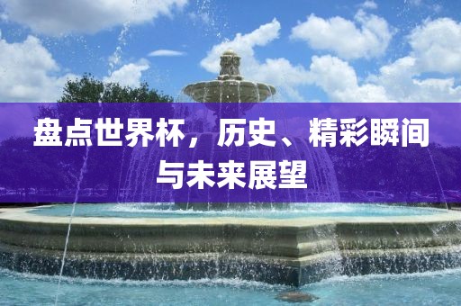 盘点世界杯，历史、精彩瞬间与未来展望漯河市盈旭机械设备有限公司