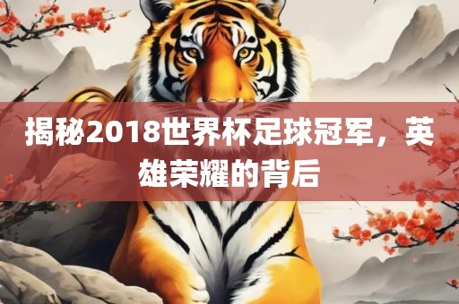 揭秘2018世界杯足球冠军，英雄荣耀的背后漯河市盈旭机械设备有限公司