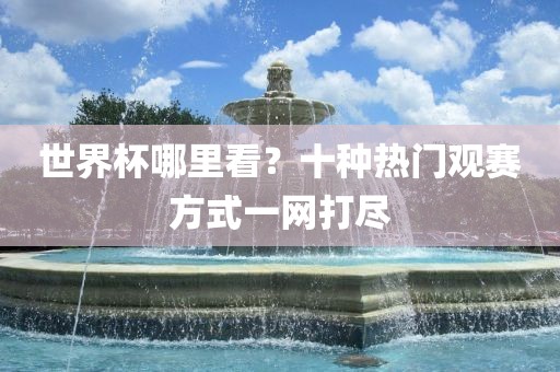 世界杯哪里看？十种热门观赛方式一网打尽漯河市盈旭机械设备有限公司