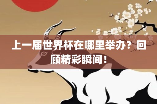 上一届世界杯在哪里举办？回顾精彩瞬间！漯河市盈旭机械设备有限公司