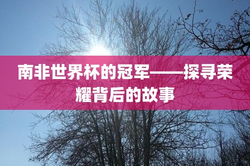 南非世界杯的冠军——探寻荣耀背后的故事