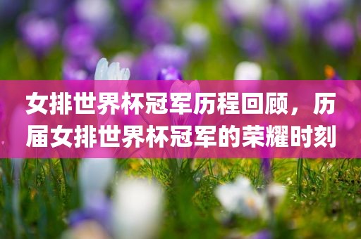 女排世界杯冠军历程回顾，历届女排世界杯冠军的荣耀时刻