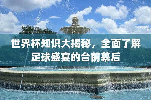 世界杯知识大揭秘，全面了解足球盛宴的台前幕后漯河市盈旭机械设备有限公司