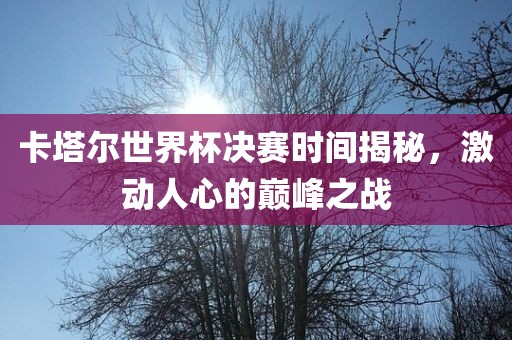卡塔尔世界杯决赛时间揭秘，激动人心的巅峰之战漯河市盈旭机械设备有限公司