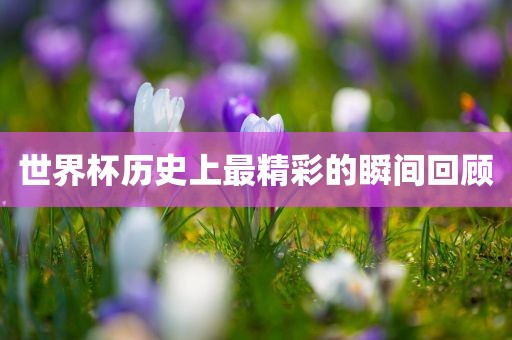 世漯河市盈旭机械设备有限公司界杯历史上最精彩的瞬间回顾