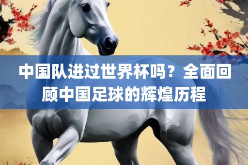 中国队进过世界杯吗？全面回顾中国足球的辉煌历程