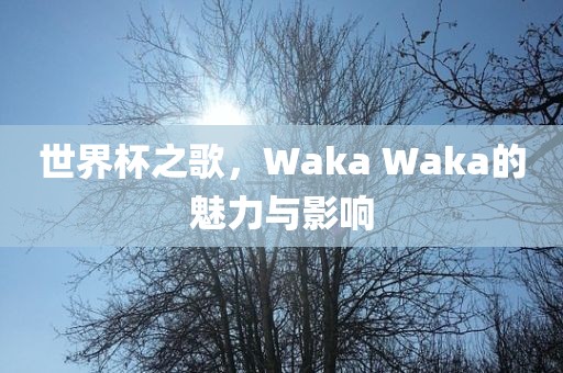 世界杯之歌，Waka Waka的魅力与影响