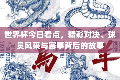 世界杯今日看点，精彩对决、球员风采与赛事背后的故事漯河市盈旭机械设备有限公司