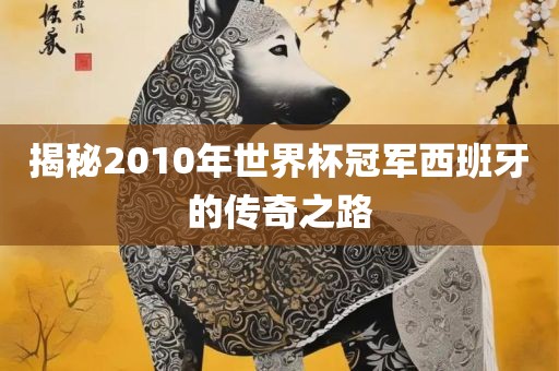 揭秘2010年世界杯冠军西班牙的传奇之路