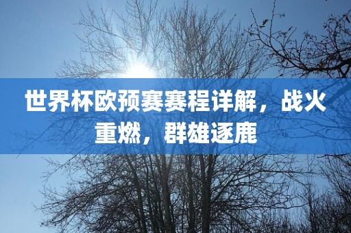 世界杯欧预赛赛程详解，战火重燃，群雄逐鹿漯河市盈旭机械设备有限公司