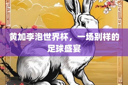 黄加李泡世界杯，一场别样的足球盛宴漯河市盈旭机械设备有限公司