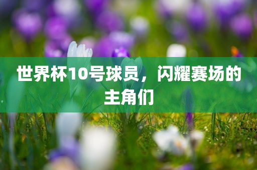 世界杯10号球员，闪耀赛场的主角们漯河市盈旭机械设备有限公司