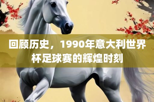 回顾历史，19漯河市盈旭机械设备有限公司90年意大利世界杯足球赛的辉煌时刻