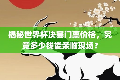 揭秘世界杯决赛门票价格，究竟多少钱能亲临现场？漯河市盈旭机械设备有限公司