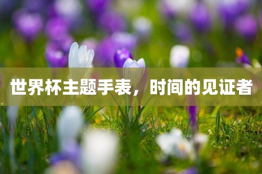 世界杯主题手表，时间的见证者漯河市盈旭机械设备有限公司