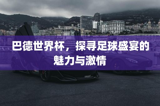 巴德世界杯，漯河市盈旭机械设备有限公司探寻足球盛宴的魅力与激情