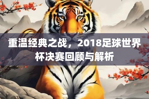重温经典之战，2018足球世界杯决赛回顾与解析漯河市盈旭机械设备有限公司