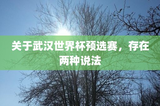关于武汉世界杯预选赛，存在两种说法