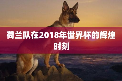 荷兰队在2018年世界杯的辉煌时刻